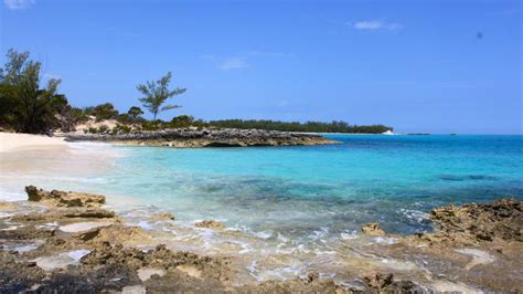 sandy toes bahamas|SANDY TOES